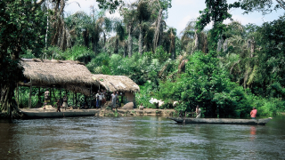 Boat group river hut trees - a hut free wallpaper