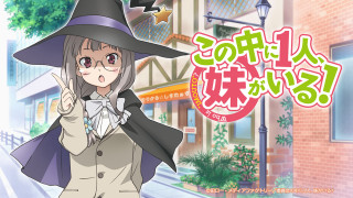 Woman witches hat long coat - a long coat free wallpaper