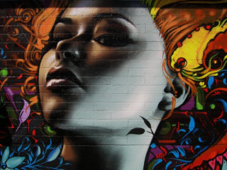 Woman face brick wall flower - tristan eaton free wallpaper