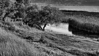 Black white tree river mountains - ansel adams free wallpaper