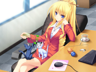 Woman sitting desk cat computer - hint of yayoi kasuma free wallpaper