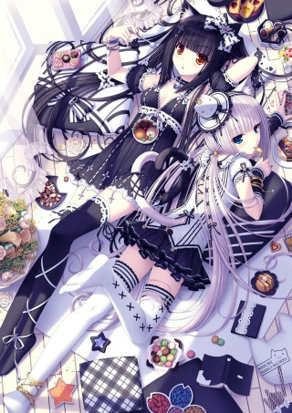 Anime girl floor items cats - many free wallpaper