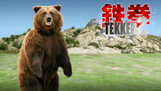 Brown bear hind legs field - its hind leg free wallpaper