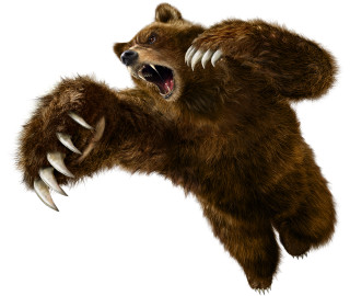 Bear claws air mouth wide 2 - claw free wallpaper