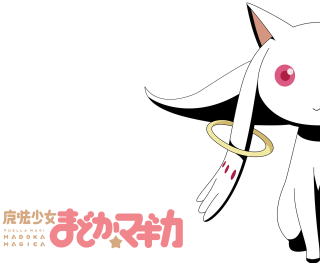 White cat ring neck pink - a white cat free wallpaper