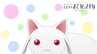 White cat red eyes polka - a white cat free wallpaper