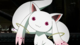 White cat pink eyes yellow - a yellow ring free wallpaper