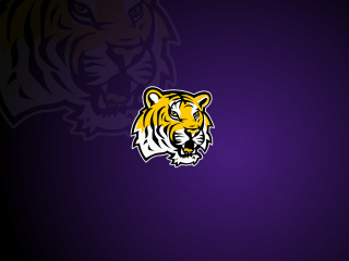 Tiger head purple background black 2 - a white tiger free wallpaper