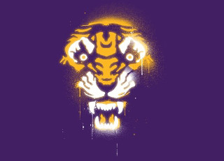 Tiger head purple background yellow 2 - andrew law free wallpaper