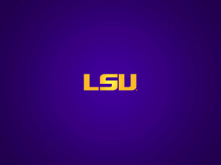 Purple background lsu yellow letters - dave arredondo free wallpaper