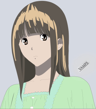 Girl green shirt bird anime - a girl free wallpaper