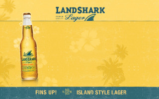 Beer label palm tree yellow - a palm tree in the background free wallpaper