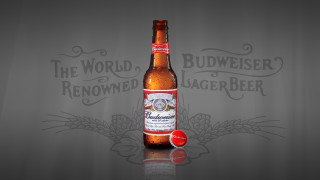 Beer red cap grey background - a red cap free wallpaper