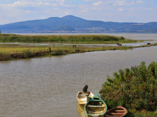 Boats water grassy shoreline mountains - the distance free wallpaper