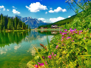 Lake mountains flowers sky clouds - impressionist free wallpaper