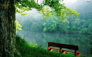 Bench tree lake forest foggy 5 - foggy sky above free wallpaper
