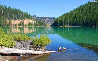 Lake trees mountains log nature - an impressionist painting free wallpaper for desktop
