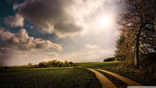 Path field tree sun clouds - the cloud above free wallpaper