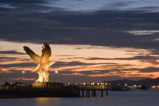 Bird flying water night sky - ding guanpeng free wallpaper