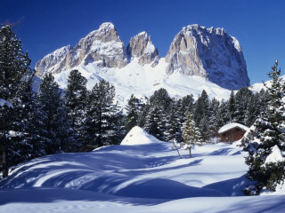 Snowy mountain cabin trees foreground 7 - a snowy mountain free wallpaper