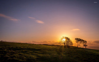 Sunset grassy field trees hills - ada hill walker free wallpaper for desktop