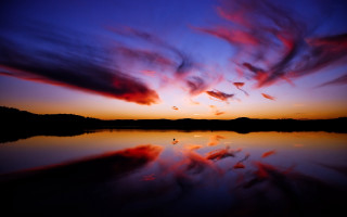 Sunset clouds reflection water blue - a few bird free wallpaper