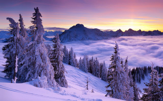 Snowy mountain trees clouds sunset - edi rama free wallpaper