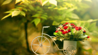 Small bicycle flowers pot table - sunlight free wallpaper