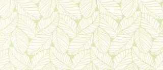White green leaf pattern wallpaper - green background free wallpaper