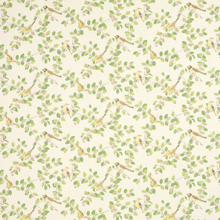Birds leaves wallpaper white room - a white wall free wallpaper