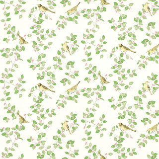 White background birds leaves green - bird free wallpaper