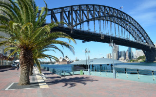 Palm tree bridge water boat - a boat in the background free wallpaper
