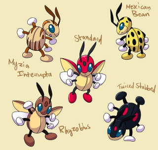 Cartoon animals names group friends - incoherent free wallpaper