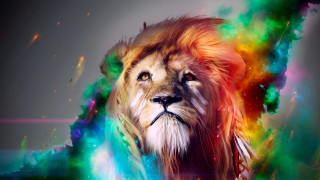Lion colorful mane rainbow swirls 3 - mystical free wallpaper