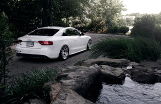 White car river trees rocks - anthony s waters free wallpaper