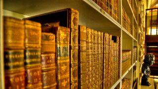 Room bookshelves lion statue man - the wall next free wallpaper