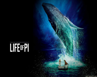 Whale jumping boat mouth man - a whale free wallpaper