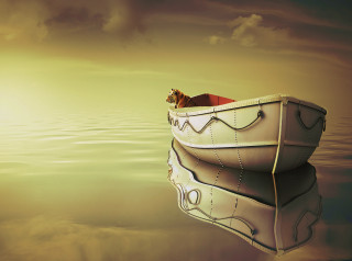 Cat boat floating water sky - surreal photography free wallpaper