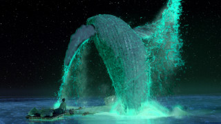 Whale jumping water mouth open 2 - the water free wallpaper