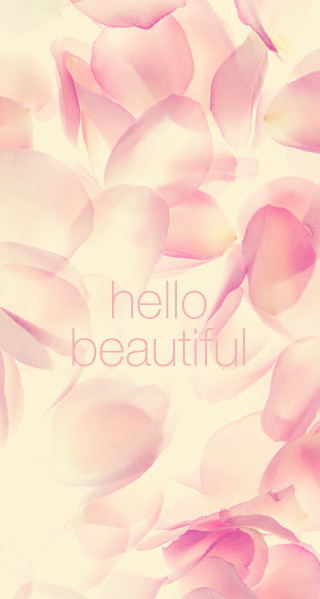 Pink flower hello beautiful white - beautiful free wallpaper