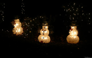 Snowmen lights dark trees background - ernest william christmas free wallpaper for desktop
