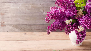 White vase purple flowers wooden - bracha l. ettinger free wallpaper
