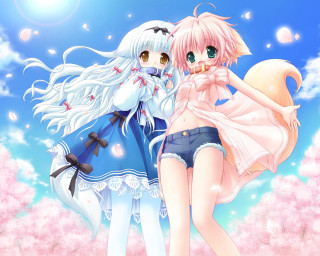 Anime girls field flowers blue - a field of flowers free wallpaper