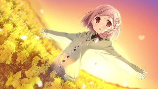 Girl field flowers arms outstretched 4 - her arm free wallpaper