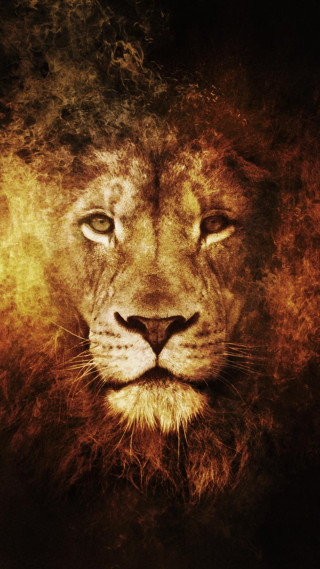 Lion black yellow red head - poster free wallpaper