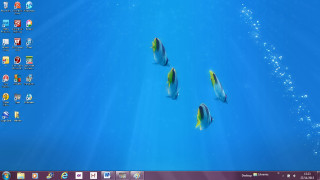 Computer screen fish water window - the wall above free wallpaper