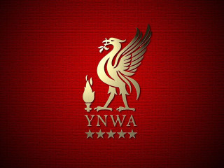 Red gold wallpaper golden bird - golden free wallpaper