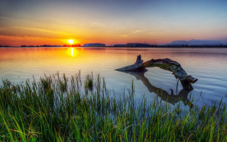 Tree branch water sunset sun - arthur quartley free wallpaper