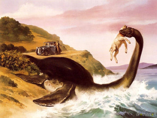 Car dog animal water truck - a truck in the background free wallpaper