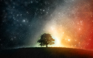 Lone tree hill night sky - a lone tree free wallpaper